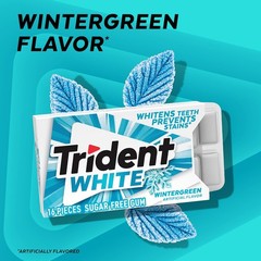 Trident White Wintergreen Sugar Free Gum, 9 Packs of 16 Pieces (144 Total