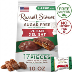 Russell Stover Sugar Free Pecan Delight Chocolate Candy 10 oz Bag Free Ship
