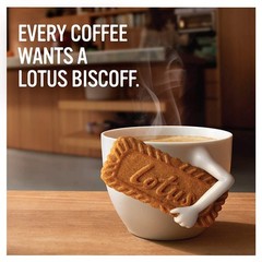 Biscoff Cookie Fresh 7.65oz (Pack of 7.65 Ounce 1), Cookies