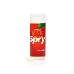 Sugar Free Xylitol Cinnamon Mints: Breath Freshener for Healthy Smiles, 45 Count
