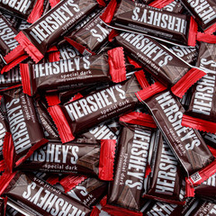 Hershy.s Special Dark Chocolate Bars, 1 LB Bulk – Snack Size Individually Wrappe