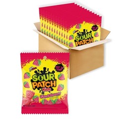Sour Patch Kids Strawberry Soft Chewy Gummy Bulk Candy 3.6 oz 12 Pack