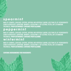 Peppermint, Spearmint, & Wintermint Assorted Sugar Free Chewing Gum Bulk Pack, 1