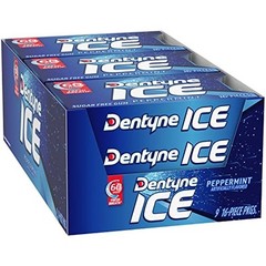 Dentyne Ice Sugar Free Gum (Peppermint 16 Piece Pack of 9)