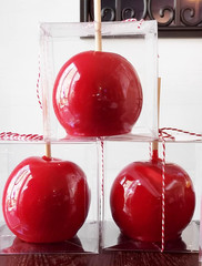 20 Pack 4”X 4” X 4” Clear Candy Apple Boxes with Hole and Sticks Set Food Gra
