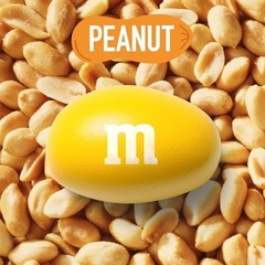 M&M’s Peanut Milk Chocolate Fun Size Candy 10.57 oz Sharing Party Bag
