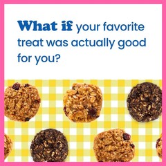 Alyssa’s Oatmeal Bites Gluten Free Cookies Healthy Bakery Snacks Pack of 2