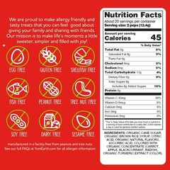 Organic Pops Variety Pack, 40 Fruit Flavored Favorites Lollipops, Allergy Fri…