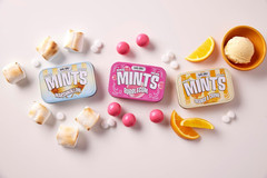 Sugar Free Bubblegum Mints – 50 Count Tin (Pack of 6) | Kosher Certified, Vegan