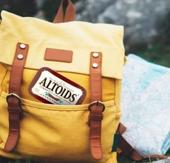 ALTOIDS Classic Cinnamon Hard Candy Breath Mints Bulk, 1.76 zz Tin (Pack of 12)