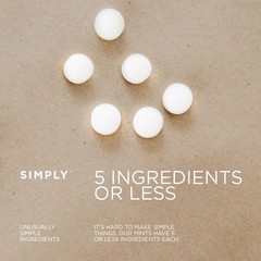 Simply Mints Cinnamon Breath Mints 1.1oz Tin 6 Pack Aspartame Free