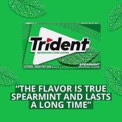 Trident Spearmint Sugar Free Gum, 12 Packs of 14 Pieces (168 Total Pieces)