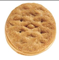 Box Of Girl Scout Cookies Peanut Butter Sandwiches, ABC Bakers