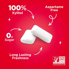 | Aspartame Free Chewing Gum | 100% Xylitol | Natural Cinnamon Flavored Gum, 55