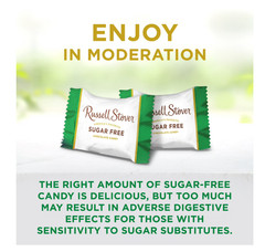 Russell Stover Sugar free Milk chocolate Pecan Delight Stand Up Bag 10 OZ 2Pack