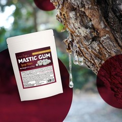 Eastanbul Mastic Gum Chewing Gum, 0.53oz(15g) 1 Count (Pack of 1)