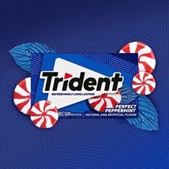 Trident Perfect Peppermint Sugar Free Gum 12 Packs 168 Pieces Bulk Chewing Gum