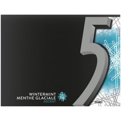 5 GUM Wintermint-Ascent Flavoured Sugar Free Chewing Gum 15 Sticks 10 Packs