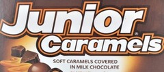 JUNIOR CARAMELS SOFT CARAMEL COVERED MILK CHOCOLATE VALUE BULK BAG PRICE PICKNOW
