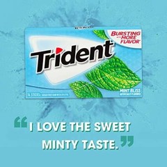 Trident Mint Bliss Sugar Free Gum, 12 Packs of 14 Pieces (168 Pieces)