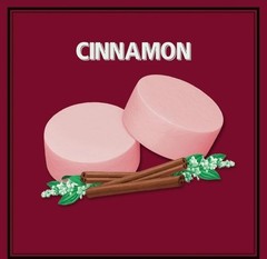 Altoids Cinnamon Mints 12 Count Pack 1.76 oz Tins Curiously Strong