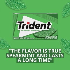 Trident Spearmint Sugar Free Gum, 12 Packs of 14 Pieces (168 Total Pieces)