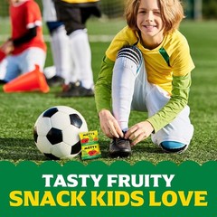 Mott’s Assorted Fruit Flavored Snacks – 40 Pack – Gluten Free Gummies