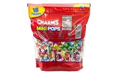 Assorted Lollipops 300 Count Resealable Bag 18 Flavors Candy Party