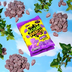 SOUR PATCH KIDS Grape Sour Gummy Candy 8.2 Oz Perfect for Parties Movies