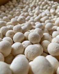 Traditional Kazakh and Central Asian snack Qurt/Kurt natural organic prod 1 kg
