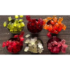 Black Forest Organic Candy, Gummy Bears, 65 Count, 0.8 Oz