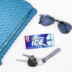 Dentyne Ice Sugar Free Gum (Peppermint 16 Piece Pack of 9)