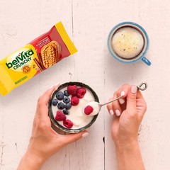 belVita Cinnamon Brown Sugar Breakfast Biscuits (25 pk.) Great Price