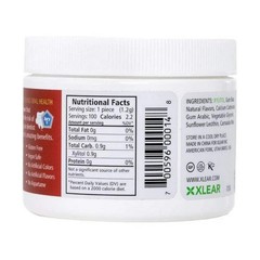 Chewing Gum Cinnamon 100 Count By Xlear Inc