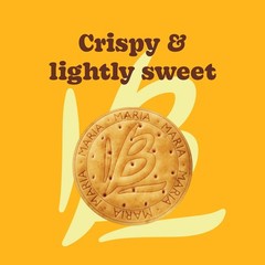 Bauducco Maria Cookies, 18.0 oz Pack of 3 Classic Crispy Cookies Perfect Treat