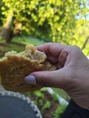 Dozen – White Chocolate Chip Oatmel Cookies