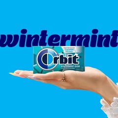 Sugar Free Wintermint Chewing Gum Bulk Box – 168 Individually Wrapped Pieces, 12