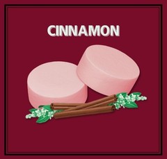 ALTOIDS Classic Cinnamon Hard Candy Breath Mints Bulk, 1.76 zz Tin (Pack of 12)
