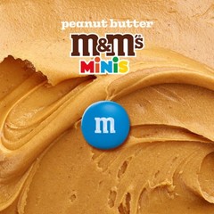 MINIS Peanut Butter Milk Chocolate Summer Candy Bulk Summer Snacks, Family Si…
