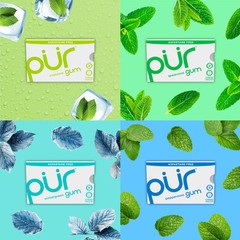 PUR Sugar Free Chewing Gum Variety Pack 8 Flavors Xylitol 9 Count Resealable