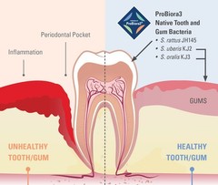ProBiora Oral-Care Chewable Probiotic Tablets | Probiotic Supplement for Wome…