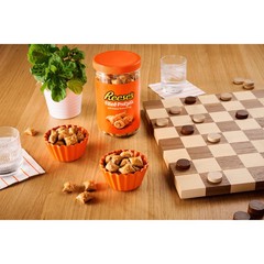 Reese’s Peanut Butter Filled Pretzels, 18 oz Sharing Size pack of 2,,