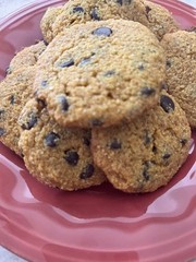 Keto Pumpkin Chocolate Chip Cookies *Diabetic Friendly* Gluten Free*Sugar Free