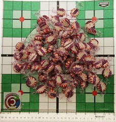 Starlight Mints Candy Discs ~ Peppermint ~ One Pound ~ 16oz Candies mint Sweets