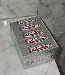 LOT OF 12 CASES, 20 PACKS PER BOX, 240 PACKS TOTAL OF Teaberry Flavored Gum NEW