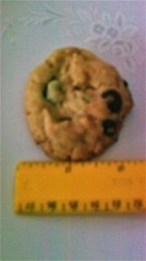 Dangerously Delicious Homebaked Crispy Chocolate Chip Cookies..Baked Fresh..Gift