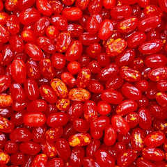 Jelly Belly Jellybean Mix 2.5LB – 5 ~ Flavor Gourmet Blend – Free Shipping!
