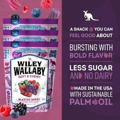 Licorice 10 Ounce Classic Gourmet Soft & Chewy Australian Blasted Berry Candy…