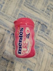 Mentos Pure Fresh Sugarfree Gum Green Tea Extract Bubble Fresh NEW 04/2026