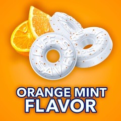 LIFE Savers ORANGE MINTS Flavor SWEET VALUE BULK BAG-PICK YOUR CRAVING NOW LIMIT